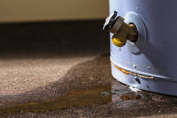 Best Residential water damage restoration  in East Hills, NY