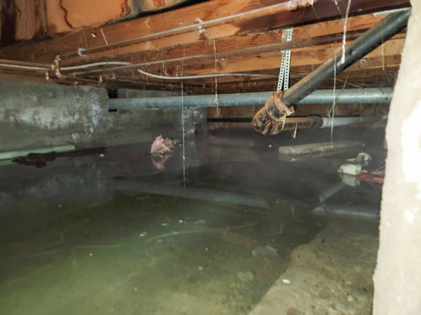 Best Commercial water damage restoration  in East Hills, NY