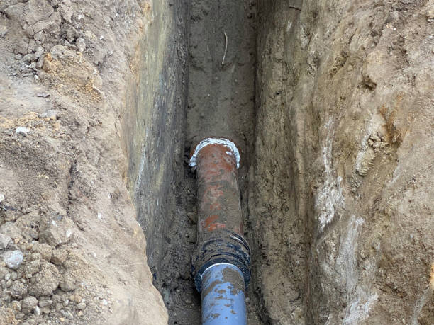 Best Flood damage cleanup  in East Hills, NY