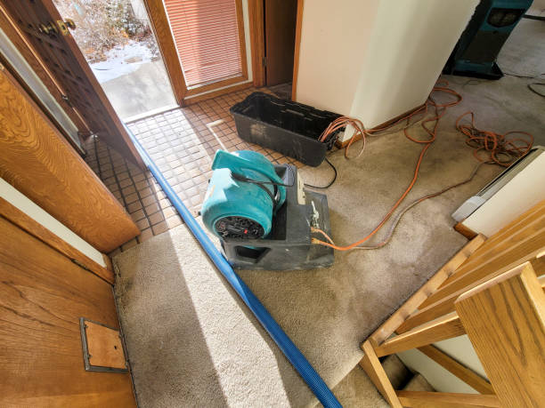 Best Sewage cleanup and water damage restoration  in East Hills, NY