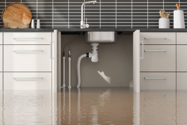 Best Water damage contractors near me  in East Hills, NY