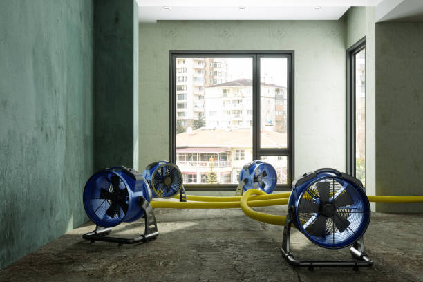 Best 24-hour water damage restoration  in East Hills, NY