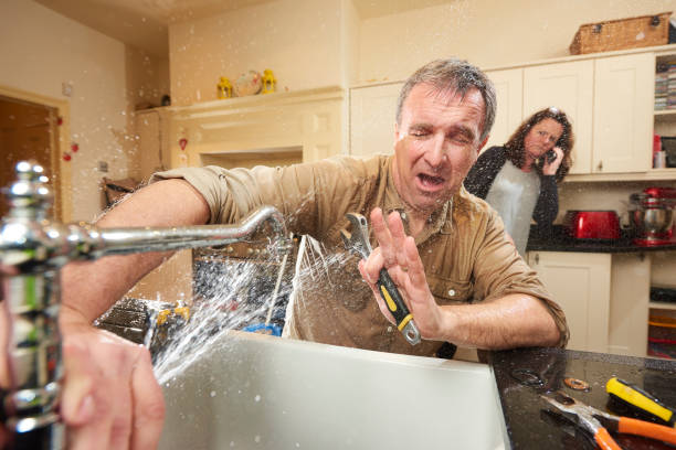 Best Water damage cleanup near me  in East Hills, NY